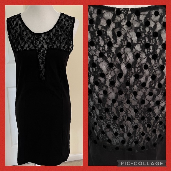 FREE PEOPLE BLACK LACE ABD LYCRA BODYCON DRESS   LARGE - Picture 5 of 11